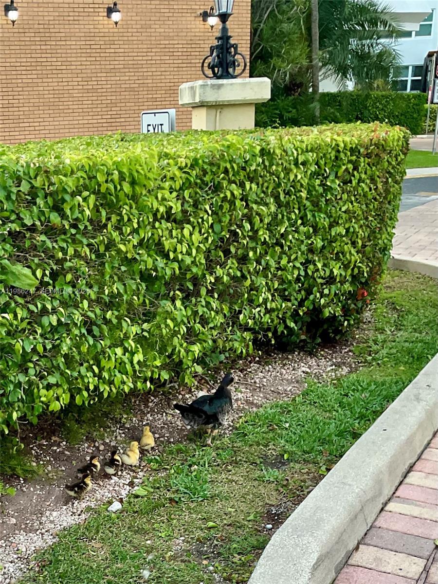 LAKE POINT TOWER CONDOMIN - Residential