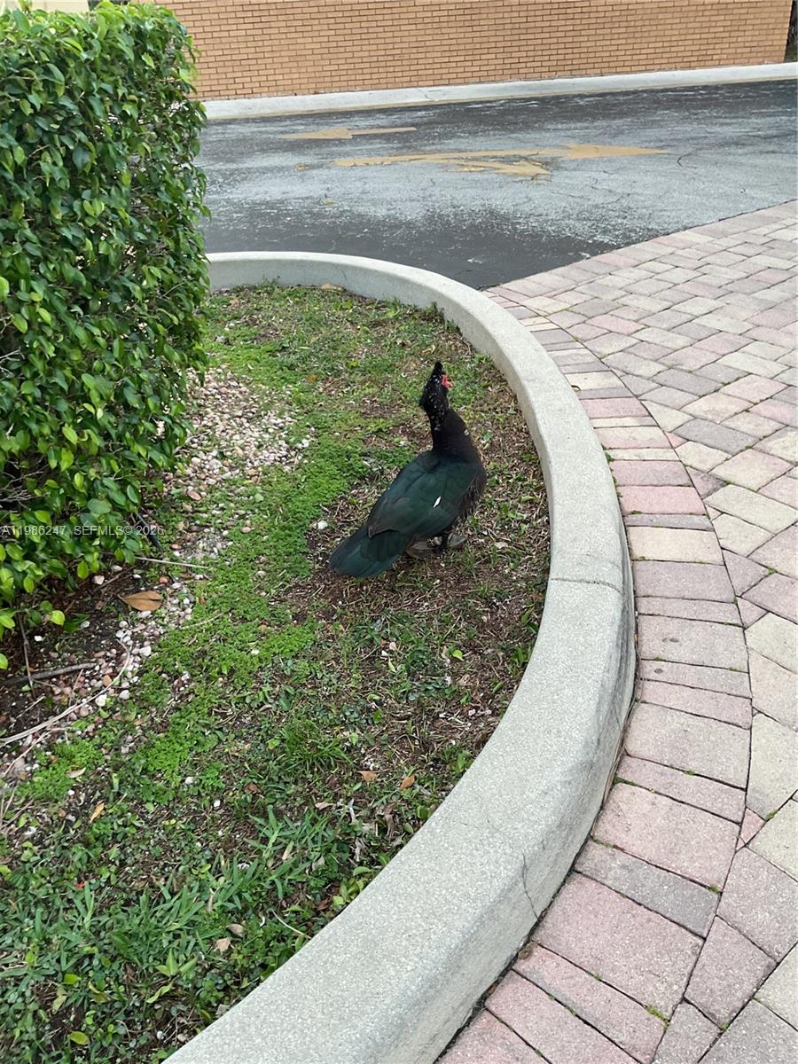 LAKE POINT TOWER CONDOMIN - Residential