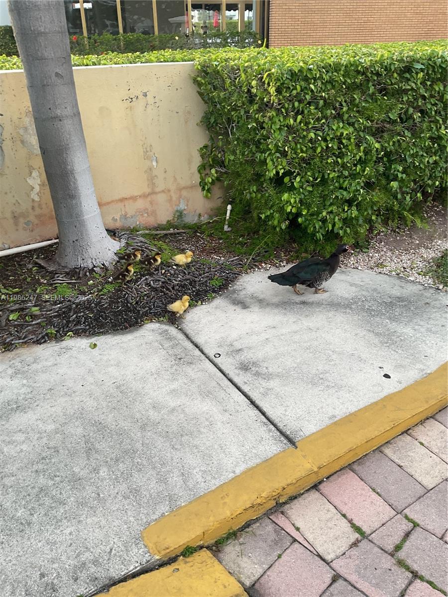 LAKE POINT TOWER CONDOMIN - Residential