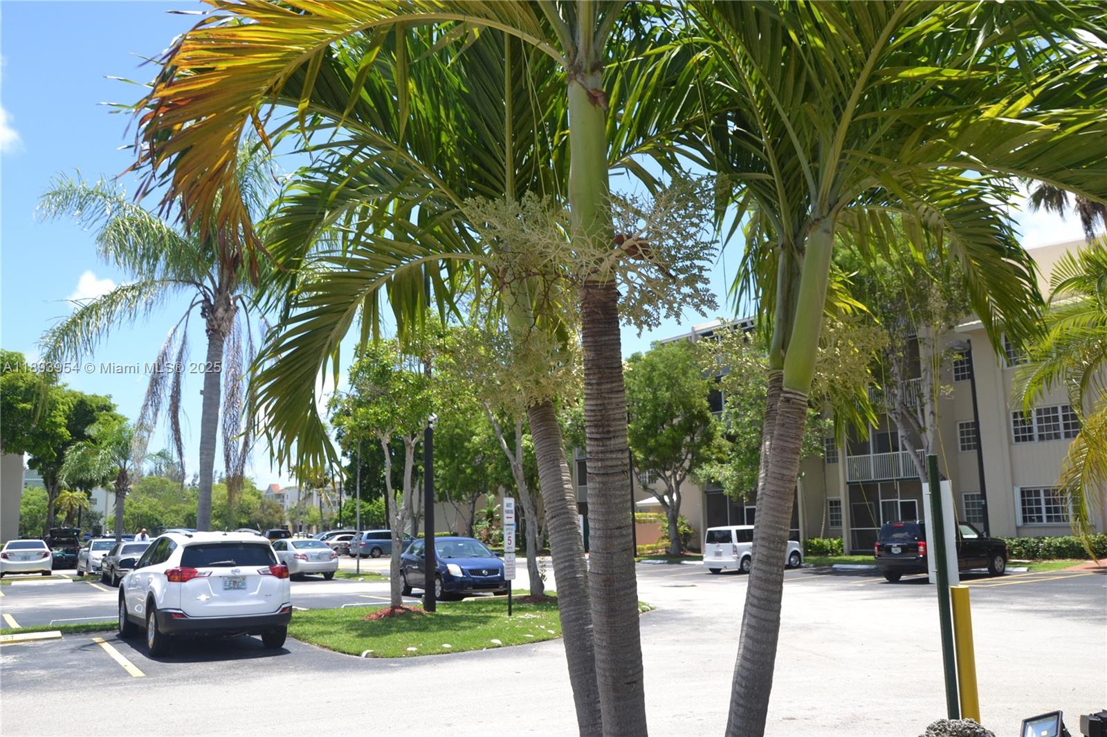 COVE CONDO PHASE I - Residential Lease