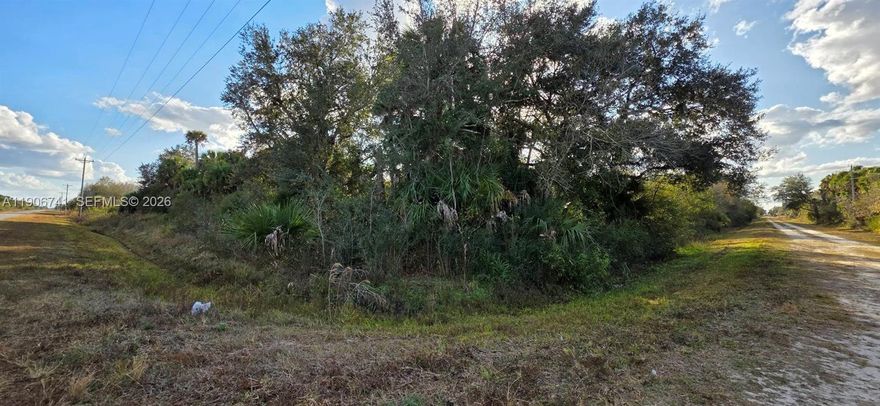 1.25-acre lot for sale located in Flood Zone A. Buyers are advised to contact the Department of Environmental Protection directly for guidance on potential wetland mitigation, building eligibility, or requirements for placing a home or manufactured home. Buyer to perform all due diligence. Property sold as-is. The adjacent 1.25-acre corner lot directly behind it is also available for sale—great opportunity to own both corner parcels!