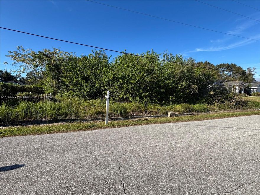 "Fantastic opportunity to own a prime piece of land in a highly desirable area! This spacious 10,125 sf  lot offers endless possibilities for building your dream home, a custom development, or an investment property. With convenient access to major roads, shopping, dining, and top-rated schools, the location is perfect for both tranquility and convenience. The land is level, with beautiful natural surroundings, making it an ideal canvas for your vision. Don’t miss out on this rare find – schedule a tour today!"