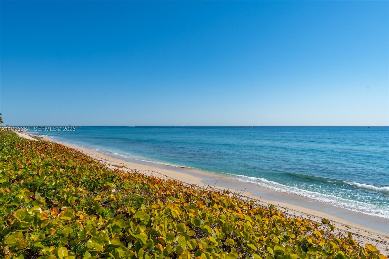 MERIDIAN OF PALM BEACH CO - Residential
