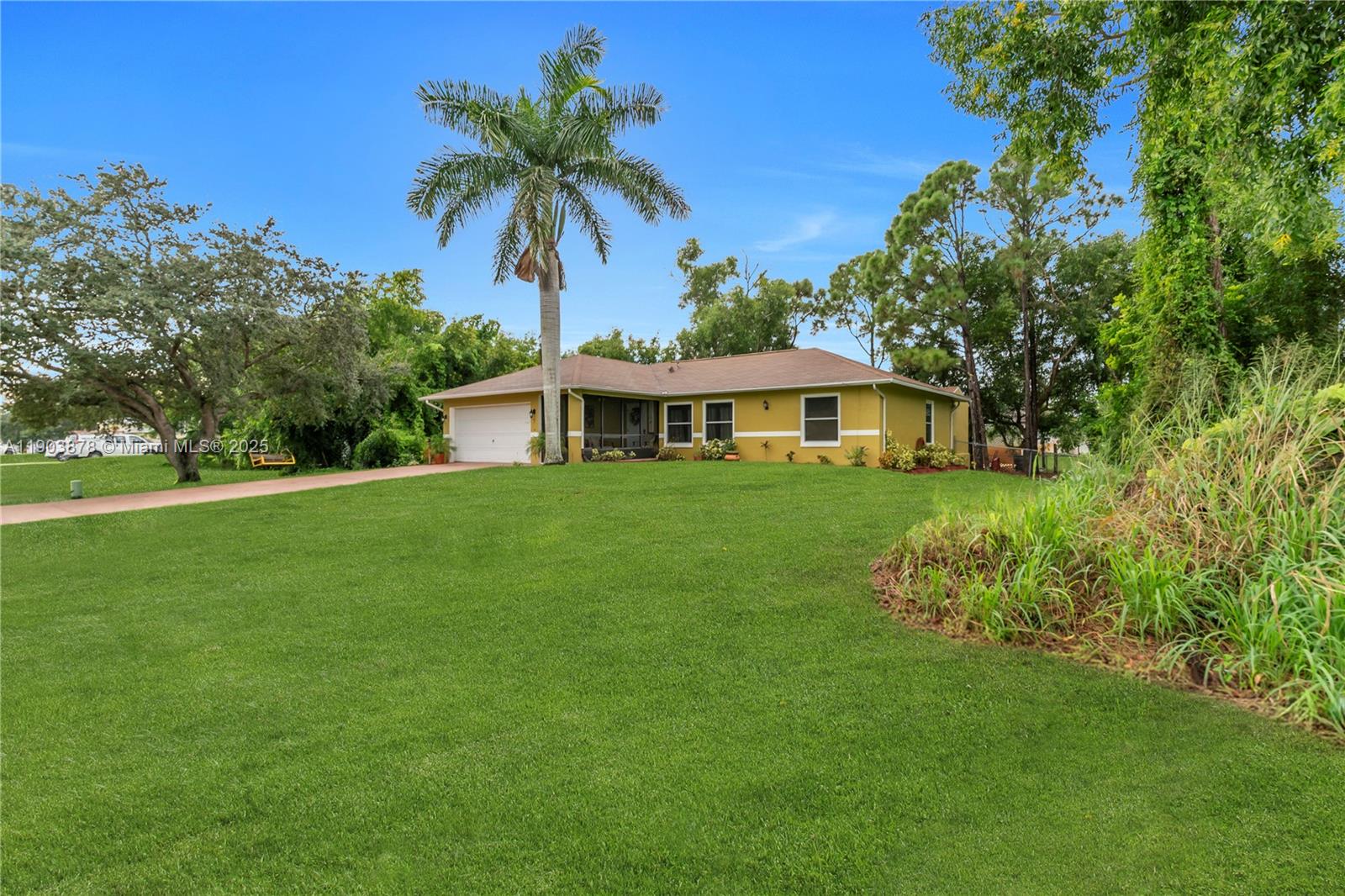 SAN CARLOS PARK - Residential