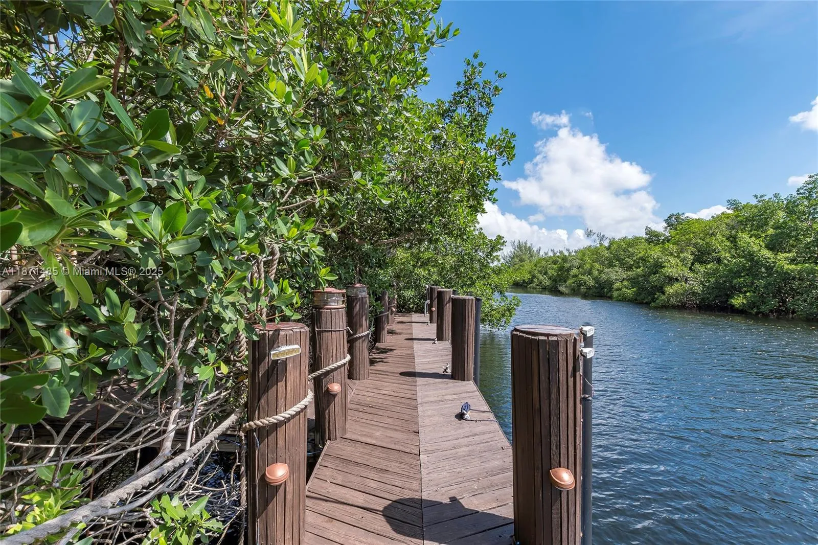 Coral Gables, Florida 33143, United States, 7 Bedrooms Bedrooms, ,7 BathroomsBathrooms,Residential,Active,202631