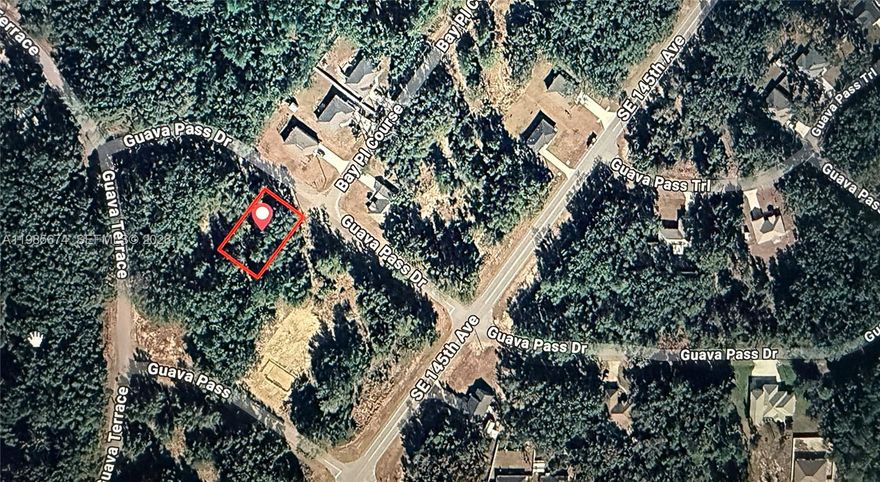 Excellent opportunity to own land at an incredible price! Take advantage of this great opportunity to purchase a residential lot located in a peaceful and growing area surrounded by nature and new residential development. This property offers the ideal setting to build a home and generate excellent potential return on investment. Conveniently located near Lake Weir and the Ocala National Forest, this area is known for its natural beauty, outdoor recreation, and increasing demand for new construction homes. It also offers easy access to Ocala, The Villages, shopping, dining, and major roadways. Only $15,000 for this fantastic opportunity to secure land in a desirable location. We also offer an optional construction development project for buyers interested in building on the lot. Additional lots are available at the same price, making this a great opportunity for investors and builders. Don’t miss this chance to invest in land with strong potential. Contact us today for more information!