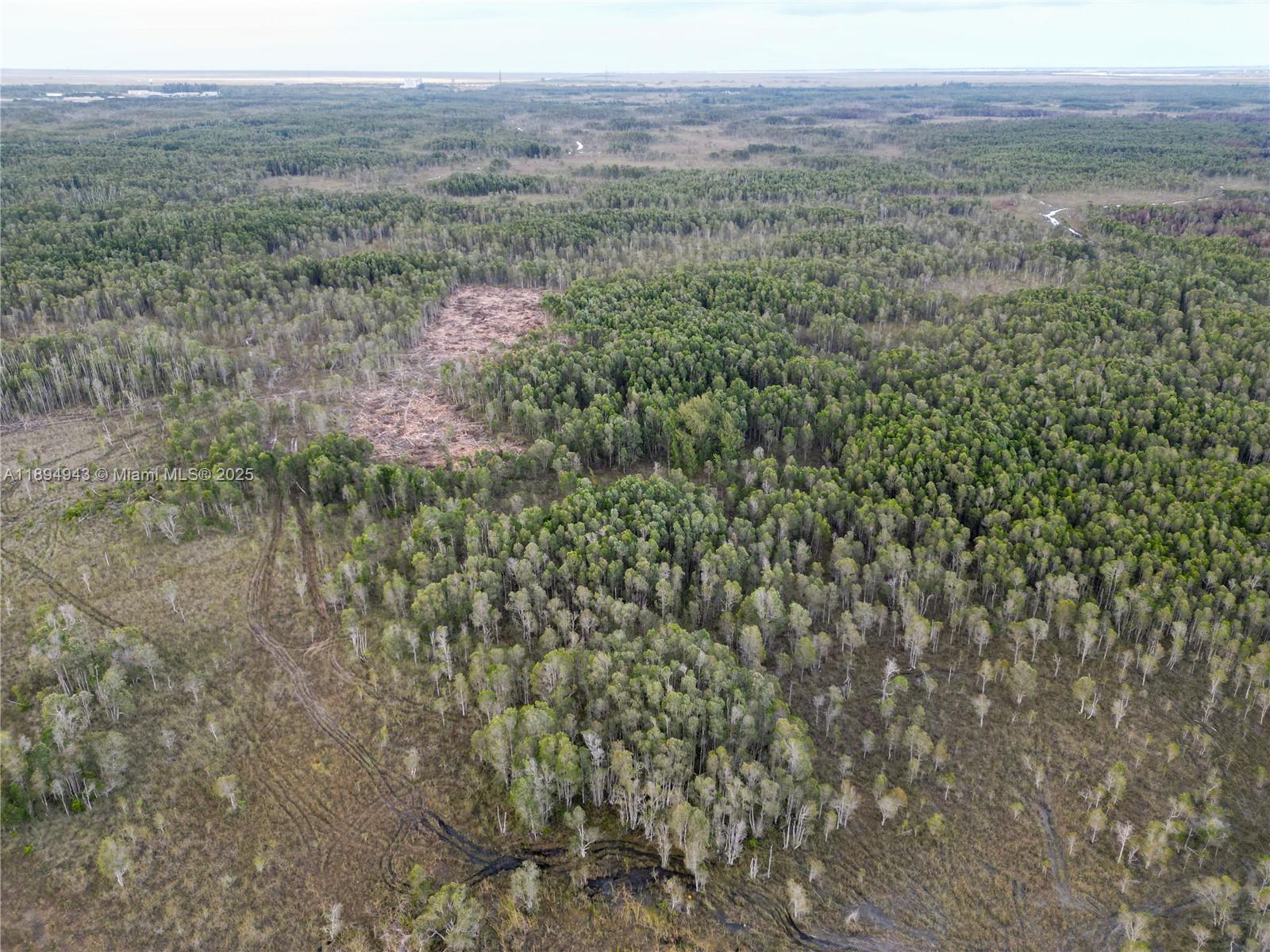 MIAMI EVERGLADE LAND COMP - Land