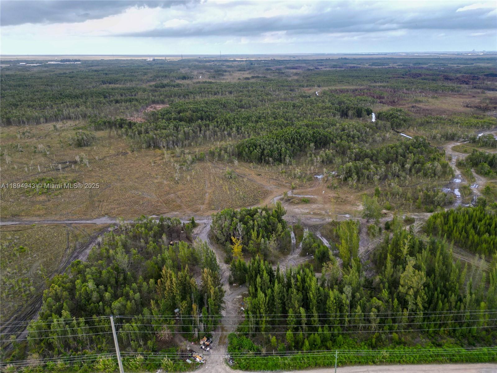 MIAMI EVERGLADE LAND COMP - Land