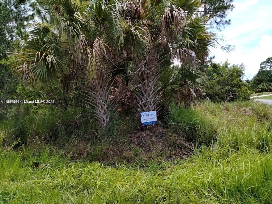 This beautiful vacant lot is at the corner Oakmon Rd and Ocean Avenue in Palm Bay FL.  It is a corner lot with 
 Depth 85 ft. and Frontage 125 ft.  A real gem, ready to build your dream home. Builders are very active in this area.  No appointment necessary. Just drive by to view this strategically located property.  You can choose SW Ocean Ave or Oakmon Rd to put your front door. More than 300 SQ Ft larger than its comparable properties. Paved Roads, electricity and water. Seller is motivated. Property recently bushed. Make an offer today.
Please see price change.$63000)