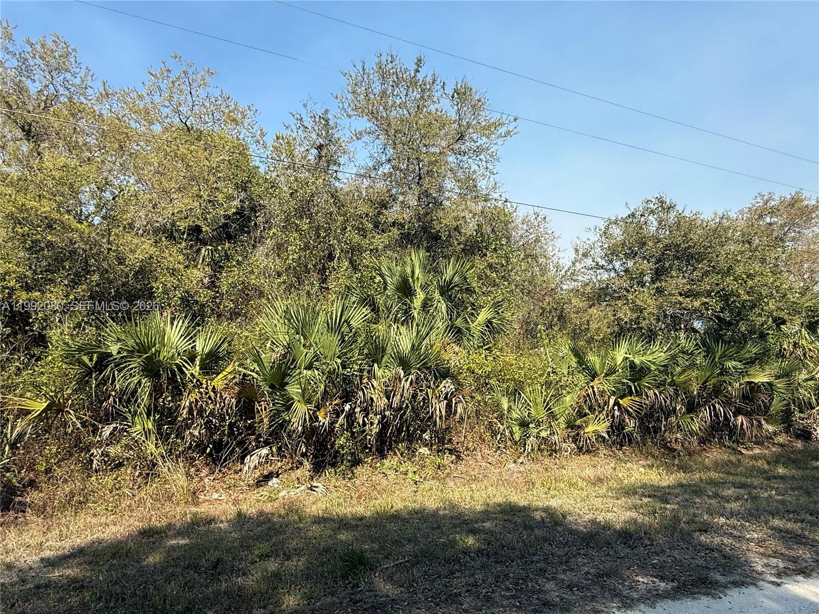 MONTURA RANCH ESTATES - Land