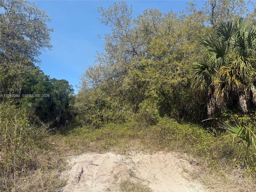 Create Your Escape on 1.25 Acres in Montura Ranch Estates

Discover the freedom of owning 1.25 raw acres of high and dry land in beautiful Montura Ranch Estates. This untouched lot is your opportunity to design the property exactly the way you want it.

Blank Canvas: Leave the trees you love, clear the space you need, and shape the land to fit your vision.

Build Your Way: Ideal for a custom home, mobile home, weekend retreat, or investment property.

High & Dry: A rare find — not wetlands, with a clean title and ready for your plans.

Space to Enjoy: Bring your animals, start a hobby farm, or simply enjoy wide-open country living.

Peaceful Lifestyle: Experience the quiet charm of Montura Ranch Estates with room to breathe and relax.

Convenient Location: Just 65 miles from Weston and 90 miles from Miami, offering privacy without being too far from the city.

Great Opportunity: Land in this growing area continues to attract buyers, making this a smart purchase for today and tomorrow.

Don’t miss your chance to own a versatile piece of Florida land with endless potential.

Come walk the property and imagine the possibilities.