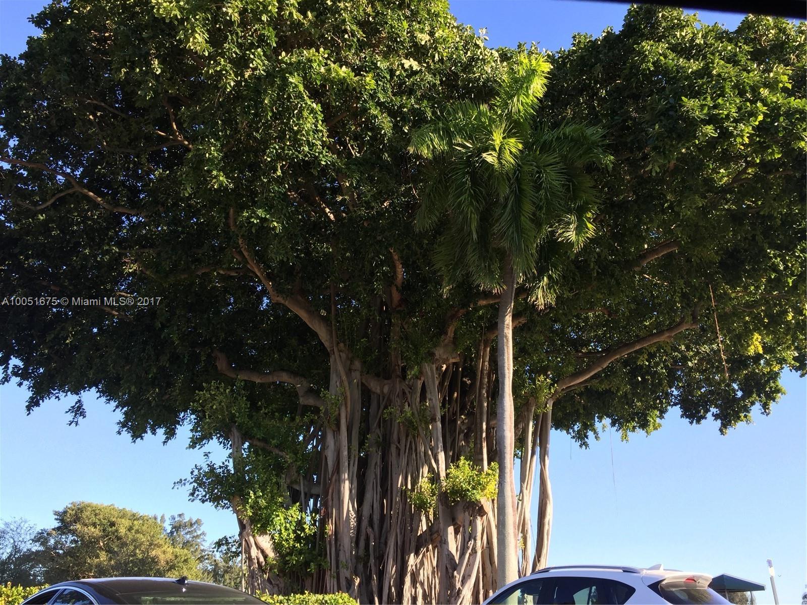 Normandy Golf Course Sub - Residential Lease