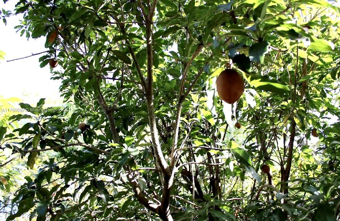 Acreage - Residential