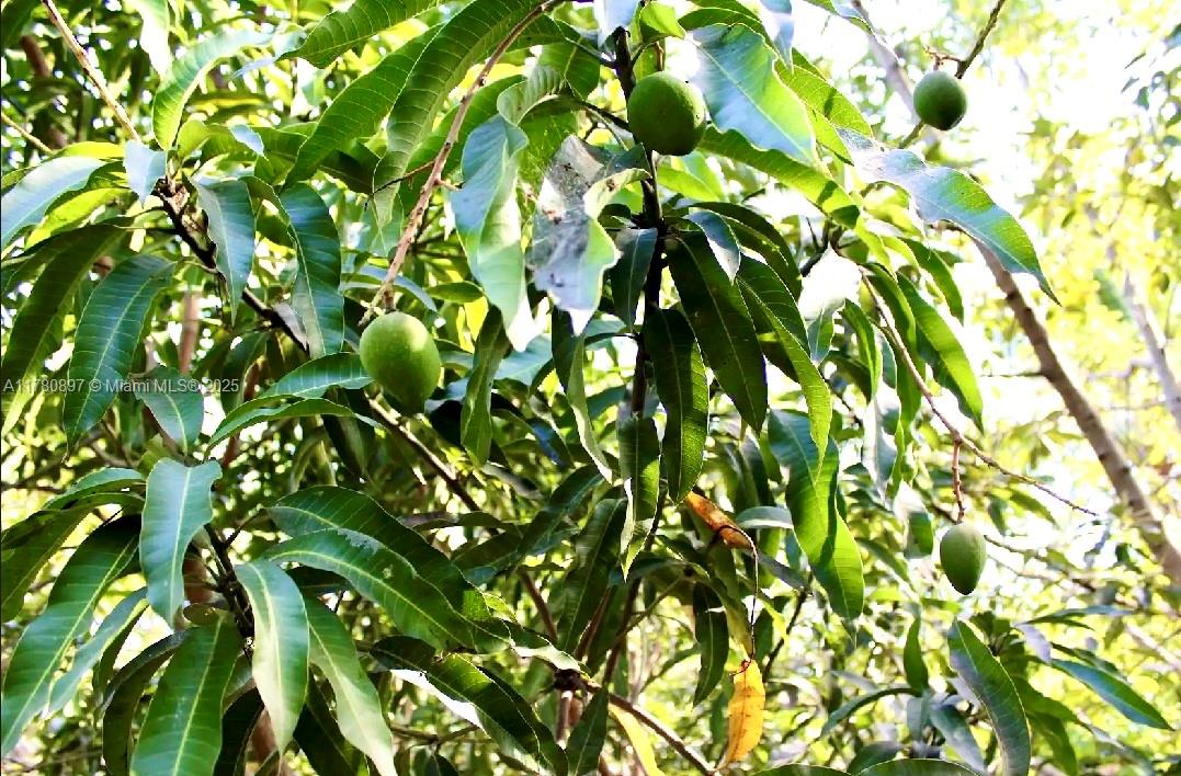 Acreage - Residential