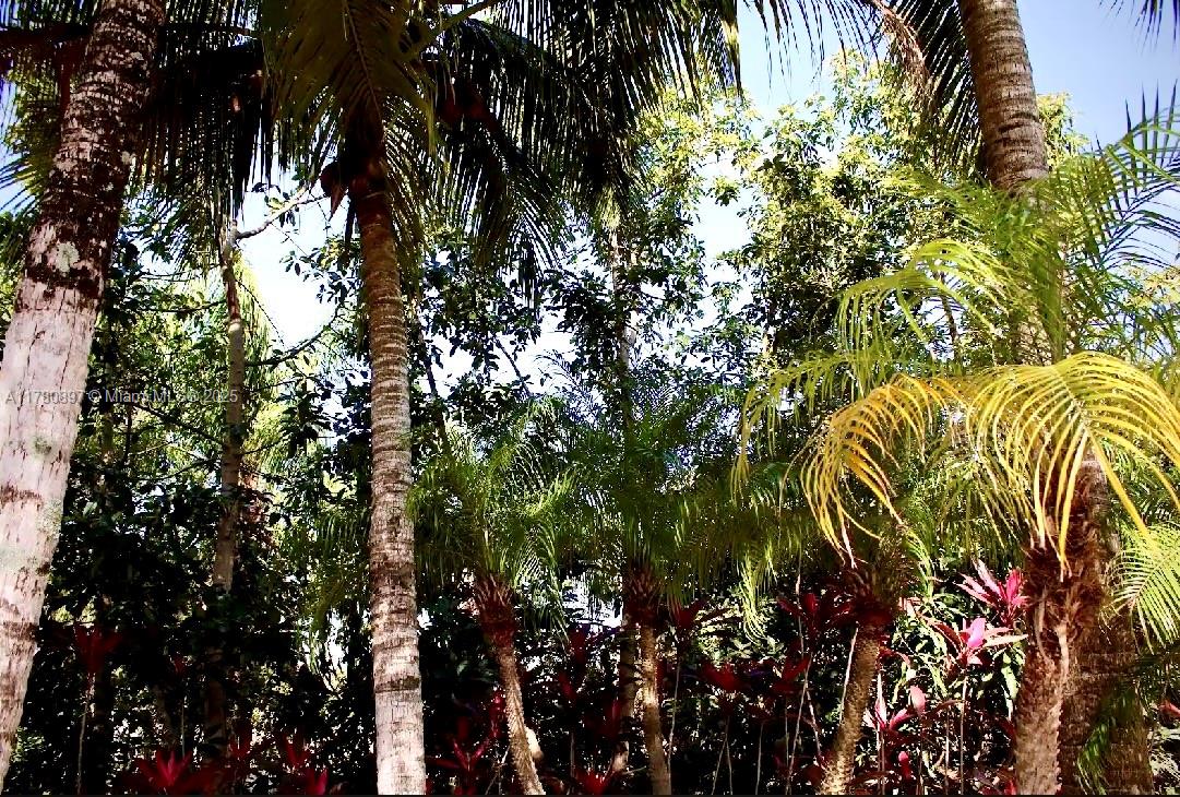 Acreage - Residential