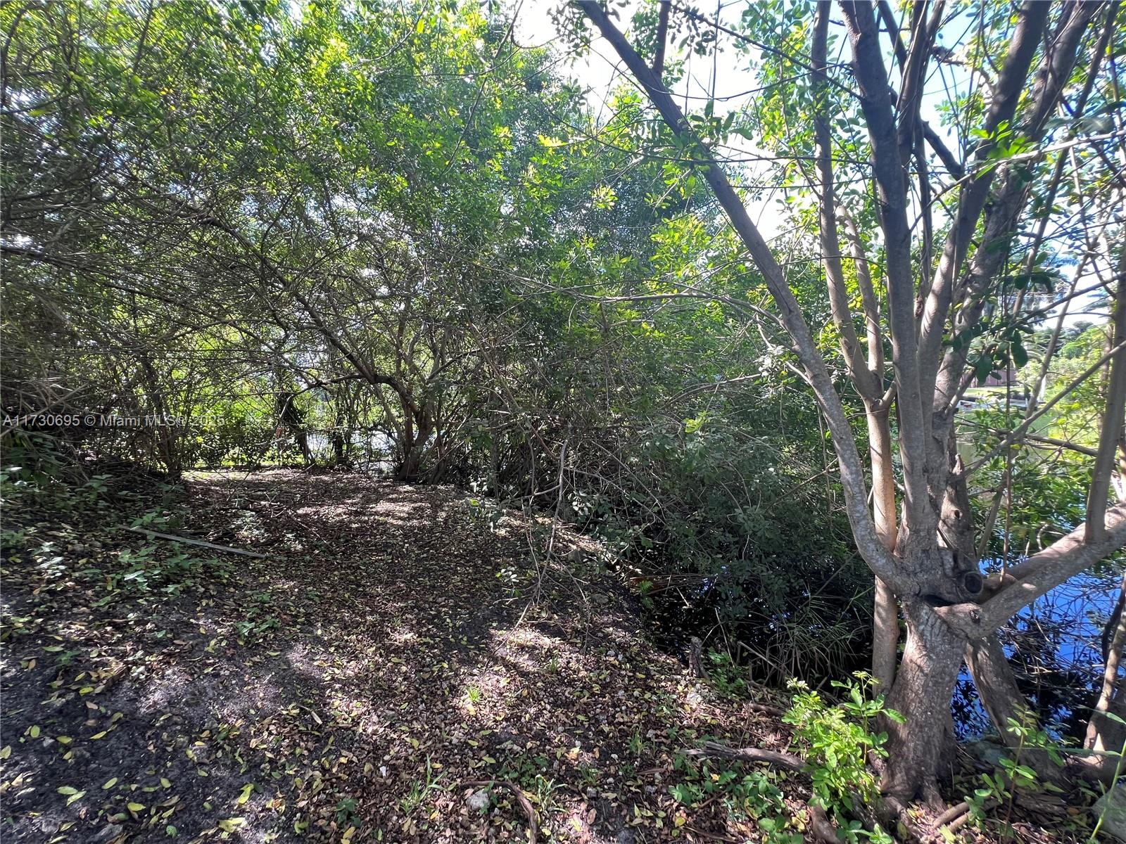 TRAILS OF EL RANCHO ACRES - Land