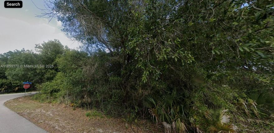 CORNER LOT OPPORTUNITY!! Amazing opportunity to build your dream home in Lehigh Acres in this 0.35 Acres zoned R1!! This property is strategically located just minutes away from all major attractions, restaurants, and entertainment venues. Perfect for investors, developers, or anyone looking to build their dream home or business, this vacant land offers endless possibilities. Whether you're looking to build a single-family home or an investment. Schedule your appoinment today!
