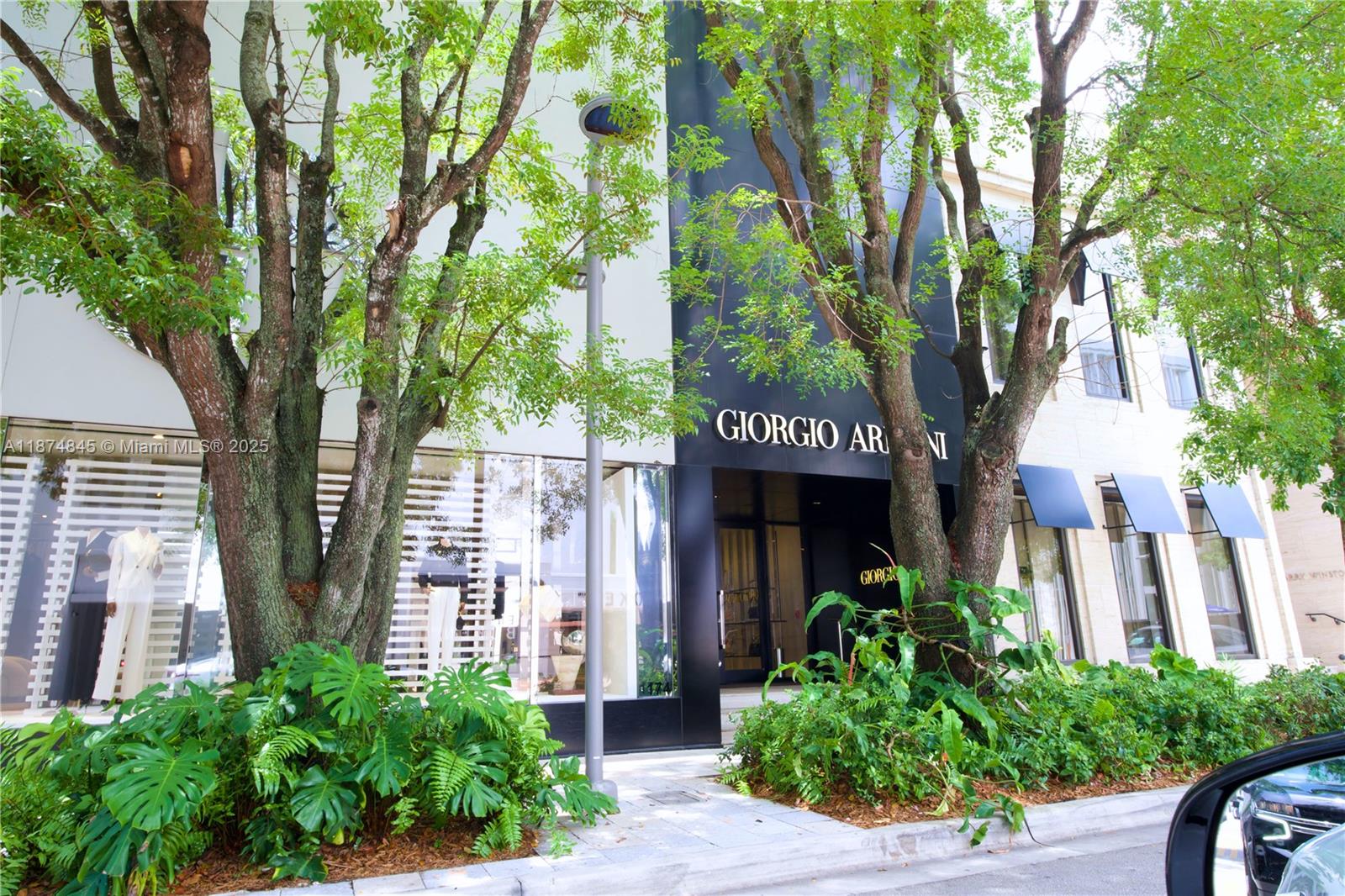 MORNINGSIDE AMD - Land