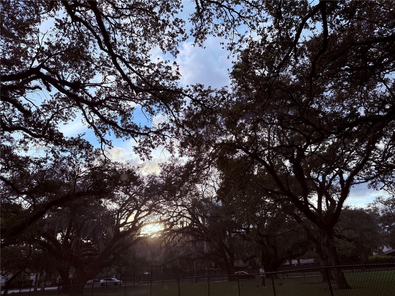 HOLLYWOOD GARDENS CONDOMI - Residential