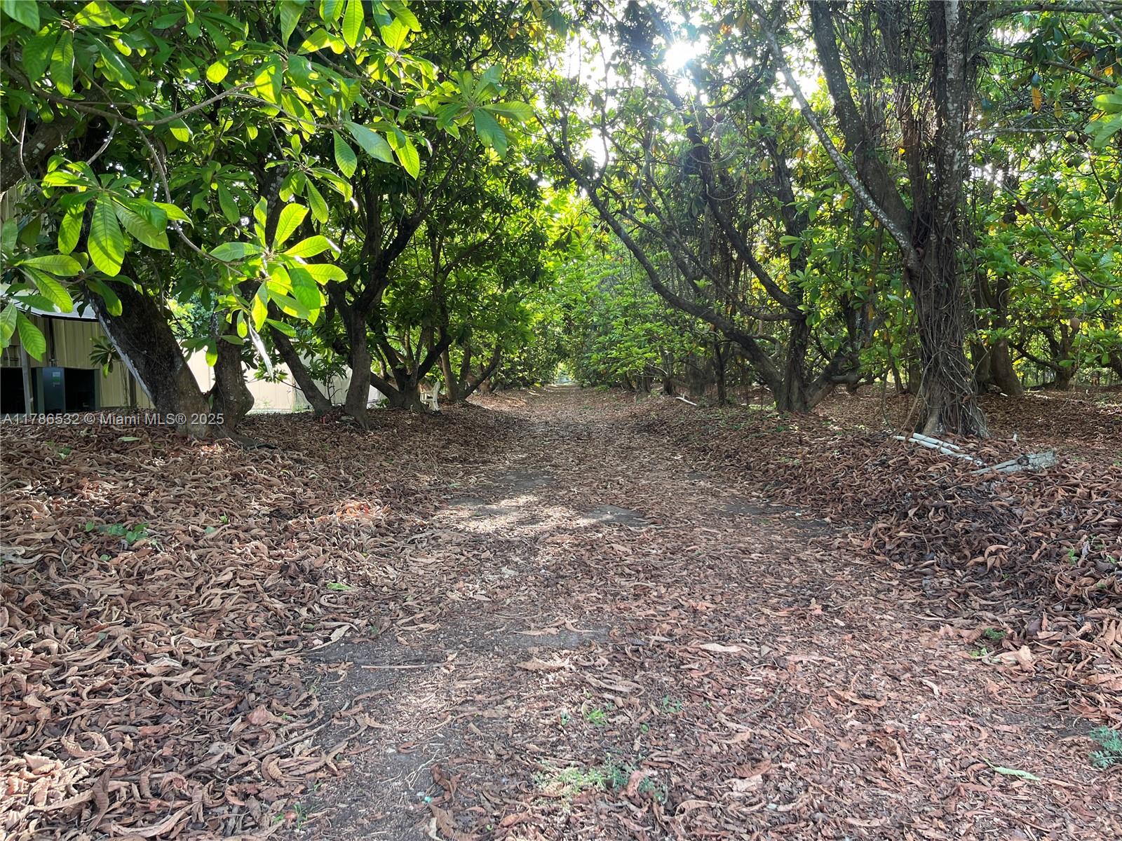 REDLAND AGRI 11.71 ACRES - Land