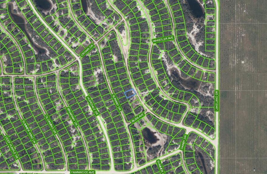 OWNER FINANCING!!! 1,000 DOWN 213.05 PER MONTH FOR 36 MONTHS AT 7% INTEREST. Hard packed gravel Road. High and Dry. Ready to build. Power on street Located in Lake Placid, in Sun 'n Lake area you will find this great lot to build your home. The new amenities to this park are amazing with a private beach for you to watch the sunrise and the sunset every day!, a boat ramp, a community clubhouse, a great fishing spot by the way, a playground and more!