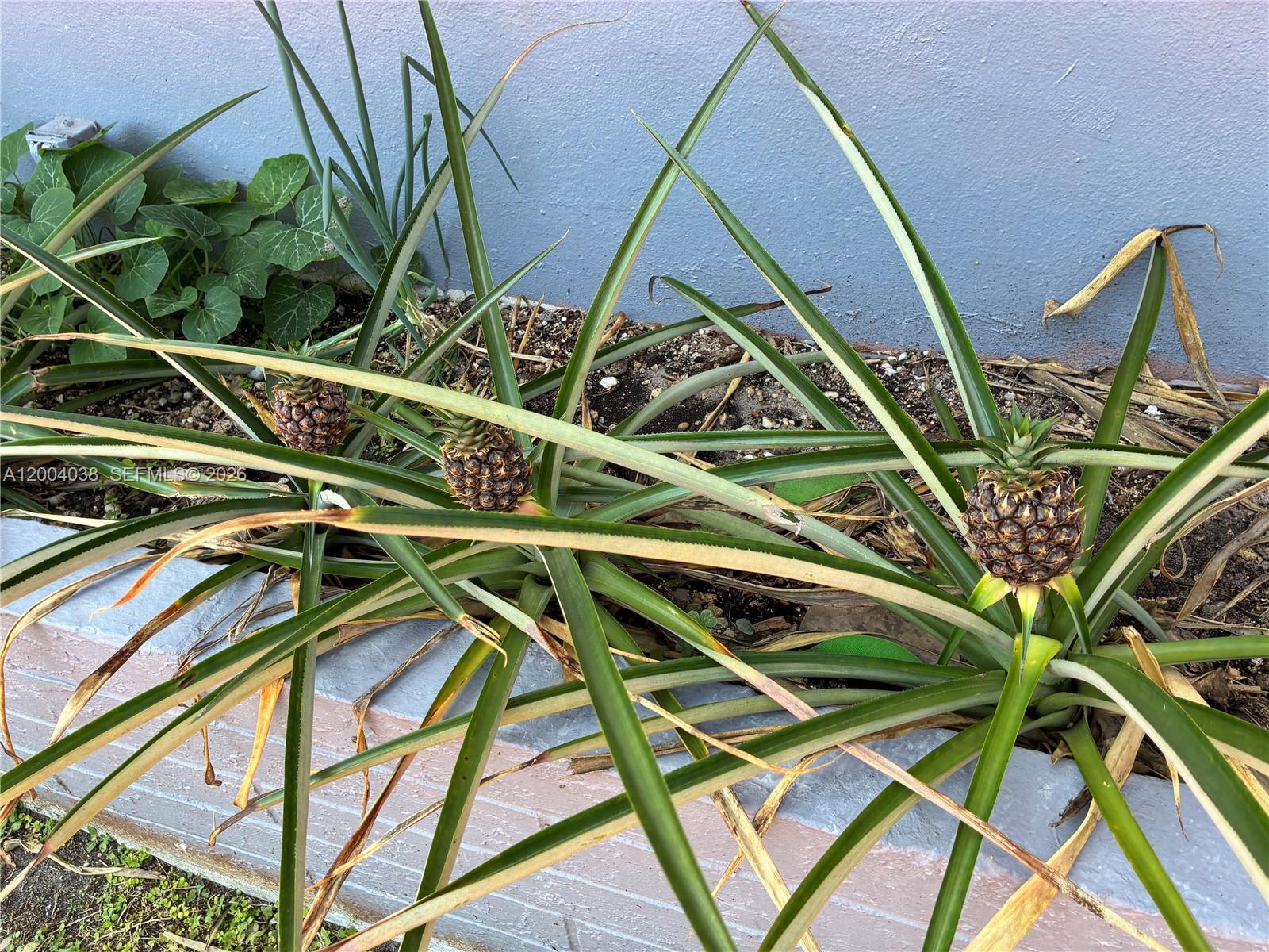 FULFORD BY SEA SEC O - Residential