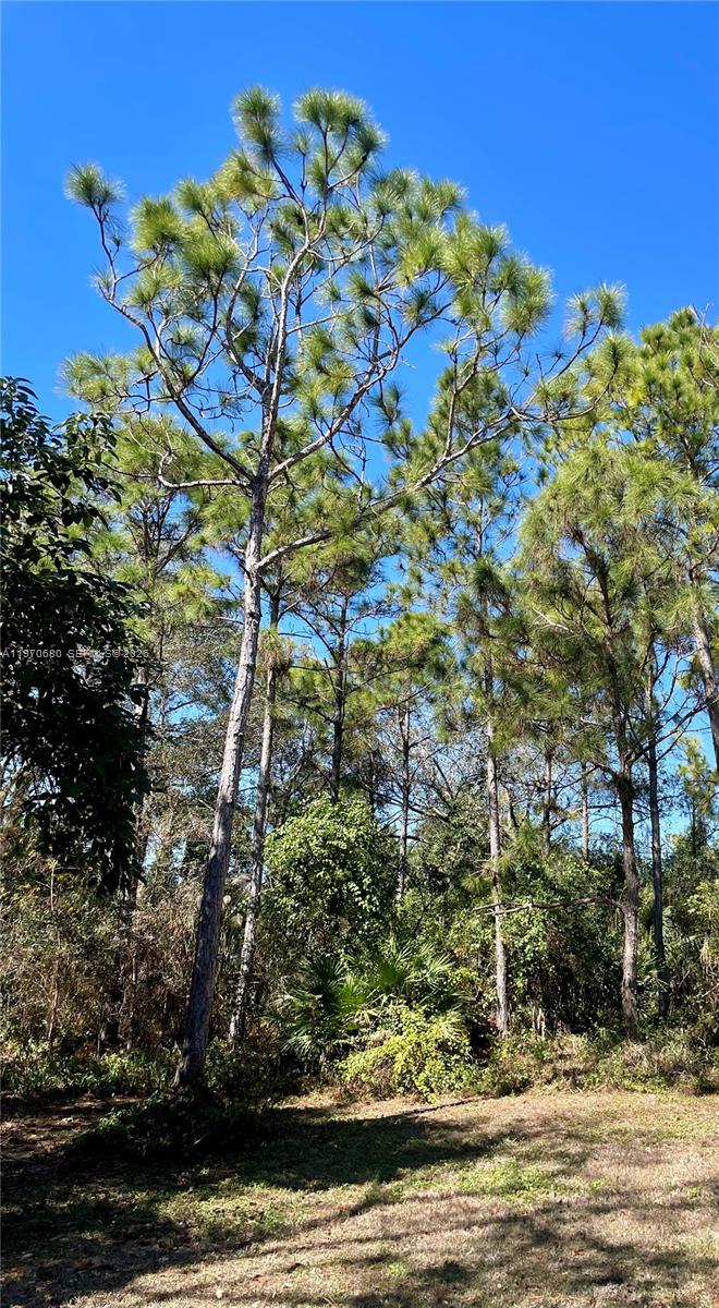 Redlands - Residential