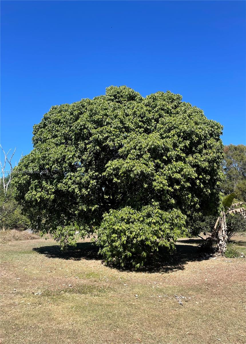 Redlands - Residential