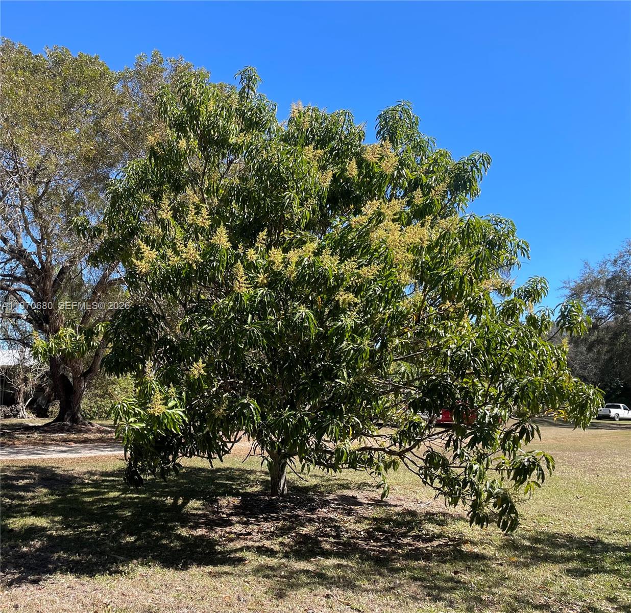 Redlands - Residential