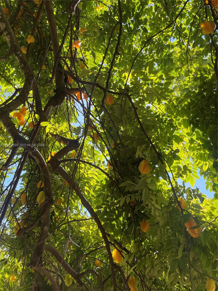 Redlands - Residential