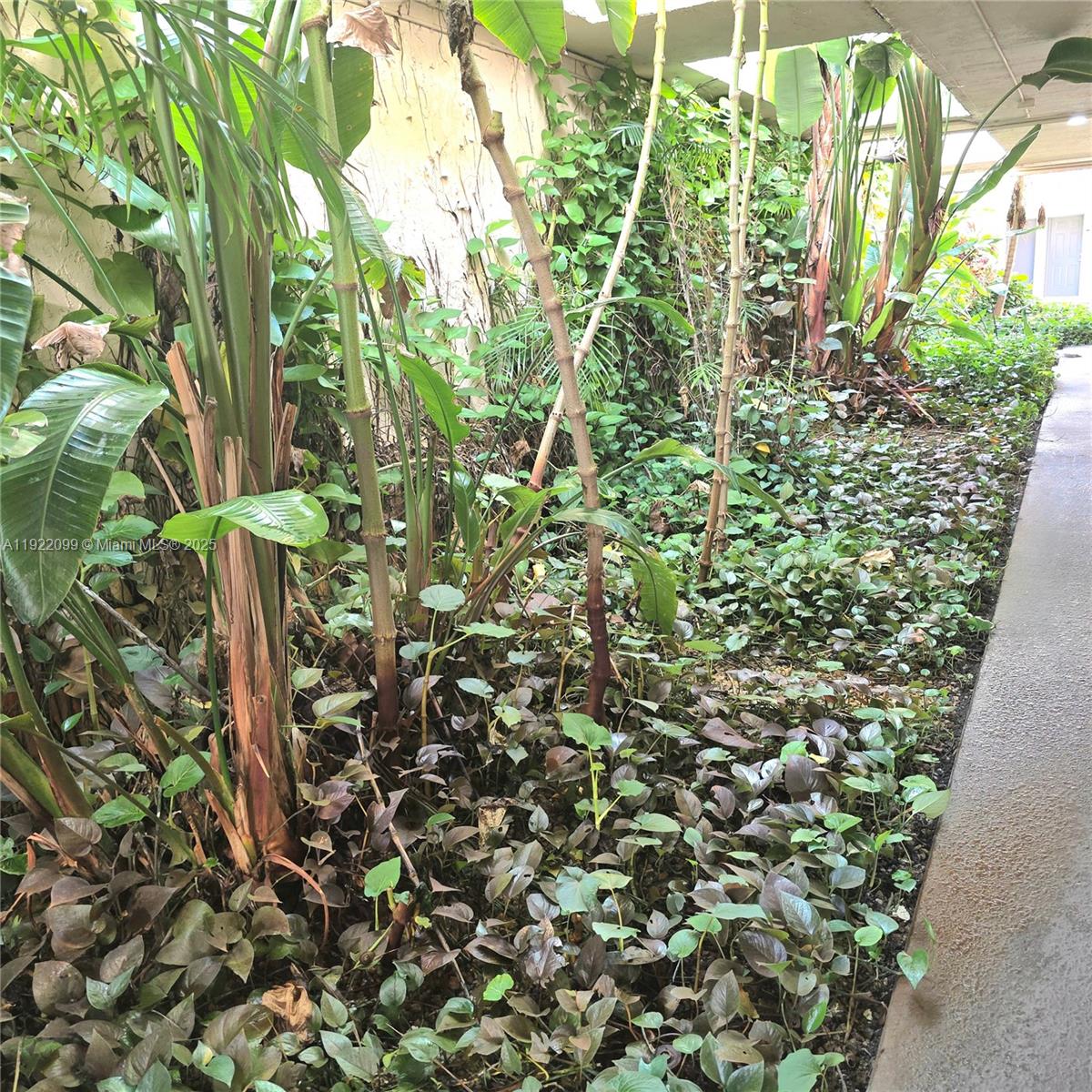 VILLAGIO AT PALMETTO BAY - Residential Lease