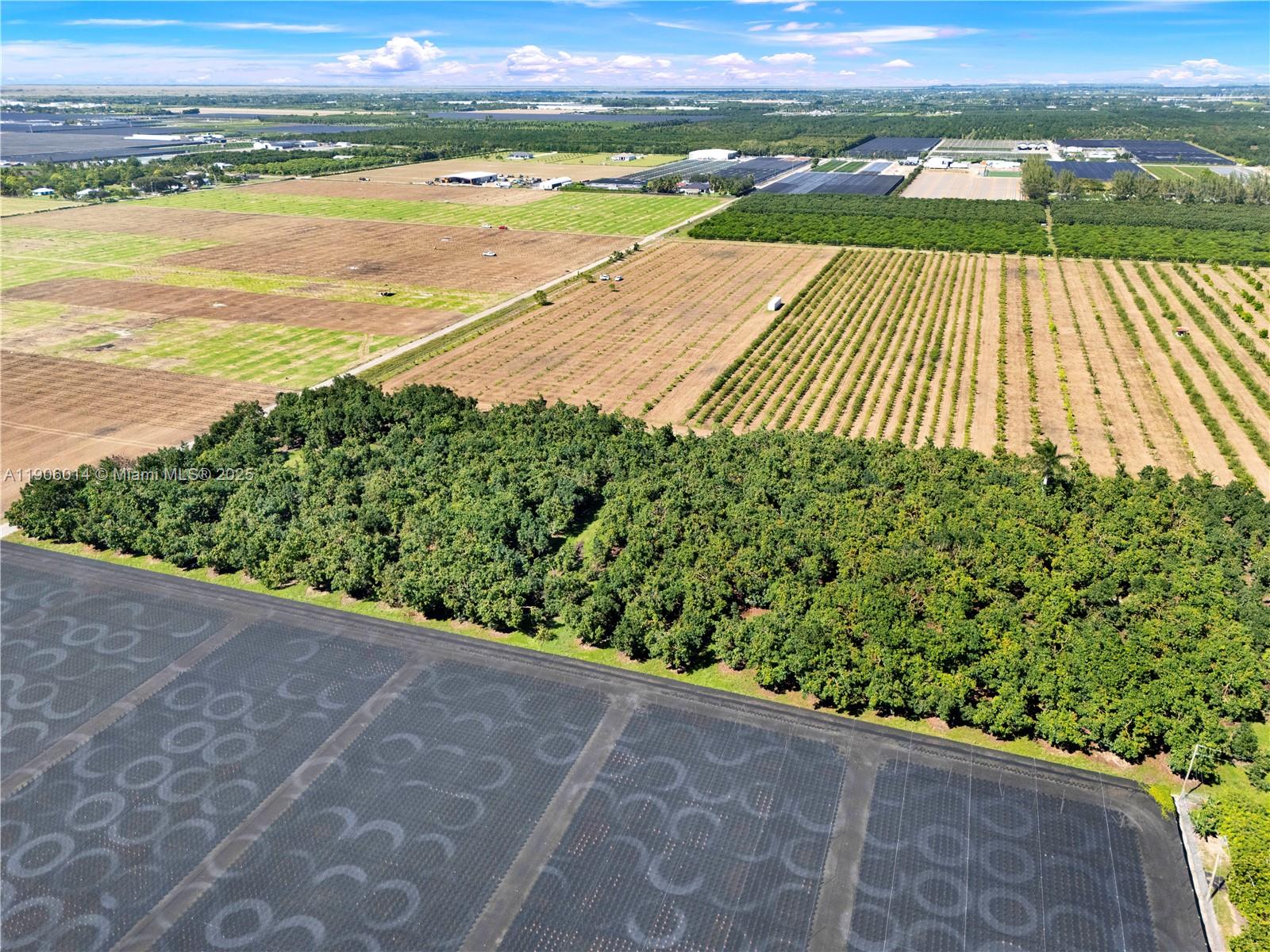 COOK & MARTINS - Land