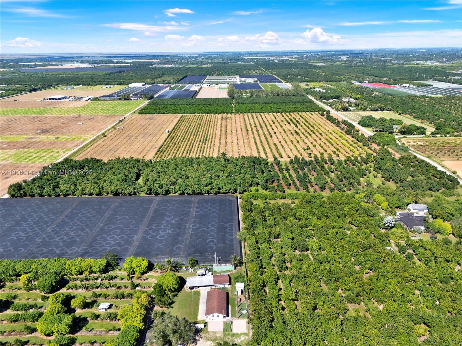 COOK & MARTINS - Land