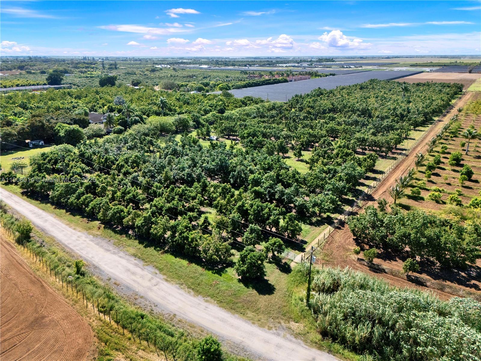 COOK & MARTINS - Land