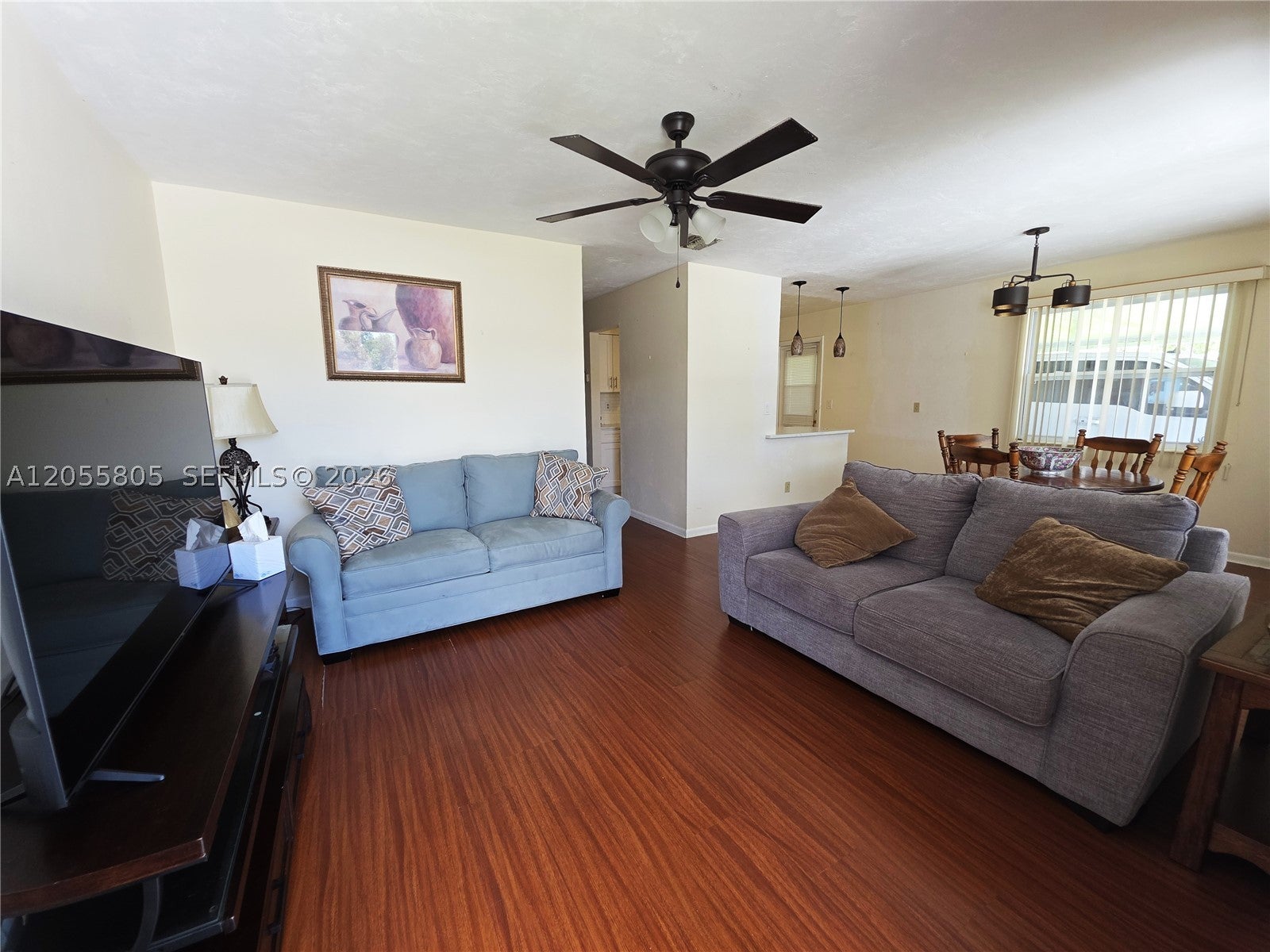 1 Dutch Iris