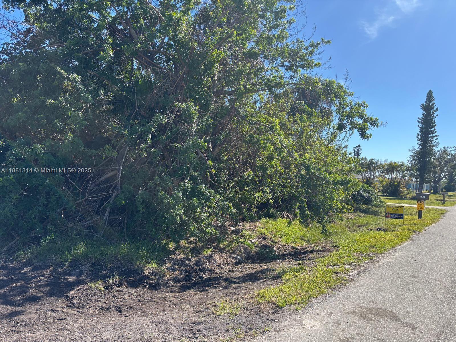 PUNTA GORDA - Land