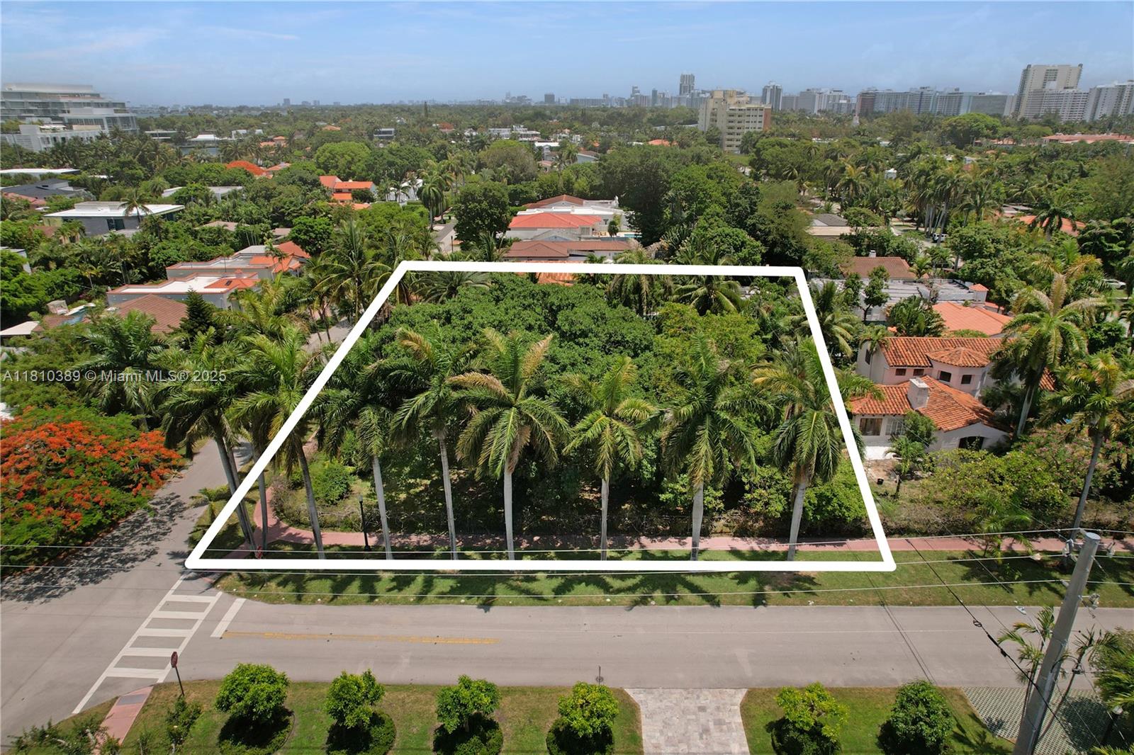 Royal Palm