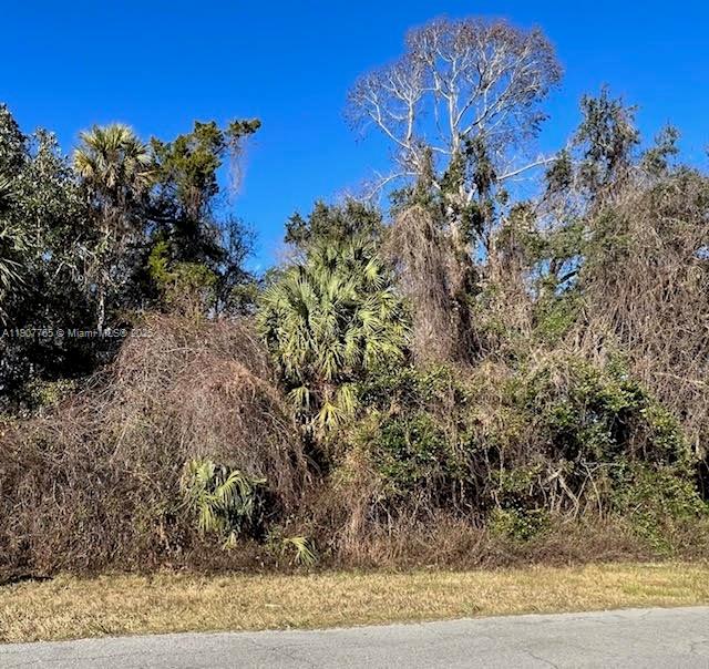 1147 W State Park ST