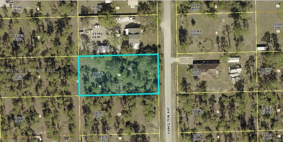 Half-acre lot in the peaceful neighborhood of Alva, just a few blocks from Joel Blvd. This property can be the perfect location for your future home or serve as an investment in this thriving area! Only two miles south of the Palm Beach Blvd. corridor, you'll enjoy easy access to downtown Fort Myers to the west and Labelle, Clewiston, and West Palm Beach to the east.