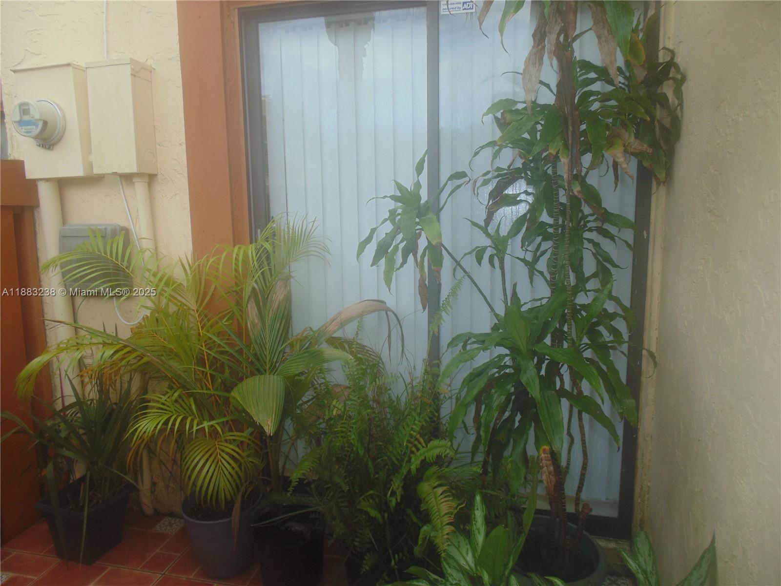 SPRING TREE - Residential