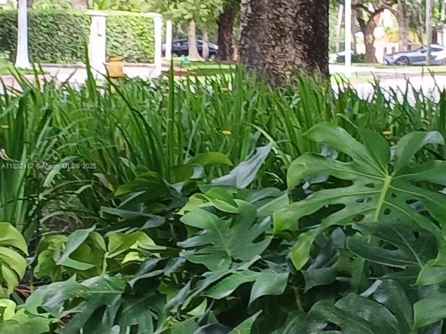 CORAL GABLES BILTMORE ADD - Residential Lease