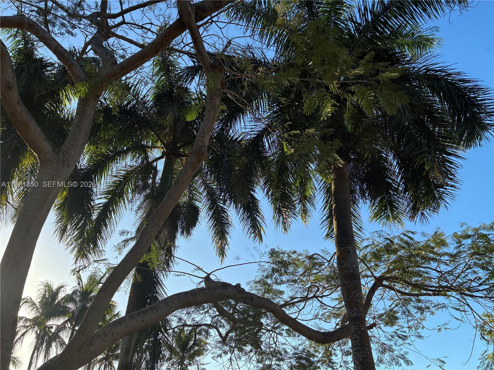 COURTSIDE AT WESTON HILLS - Residential Lease