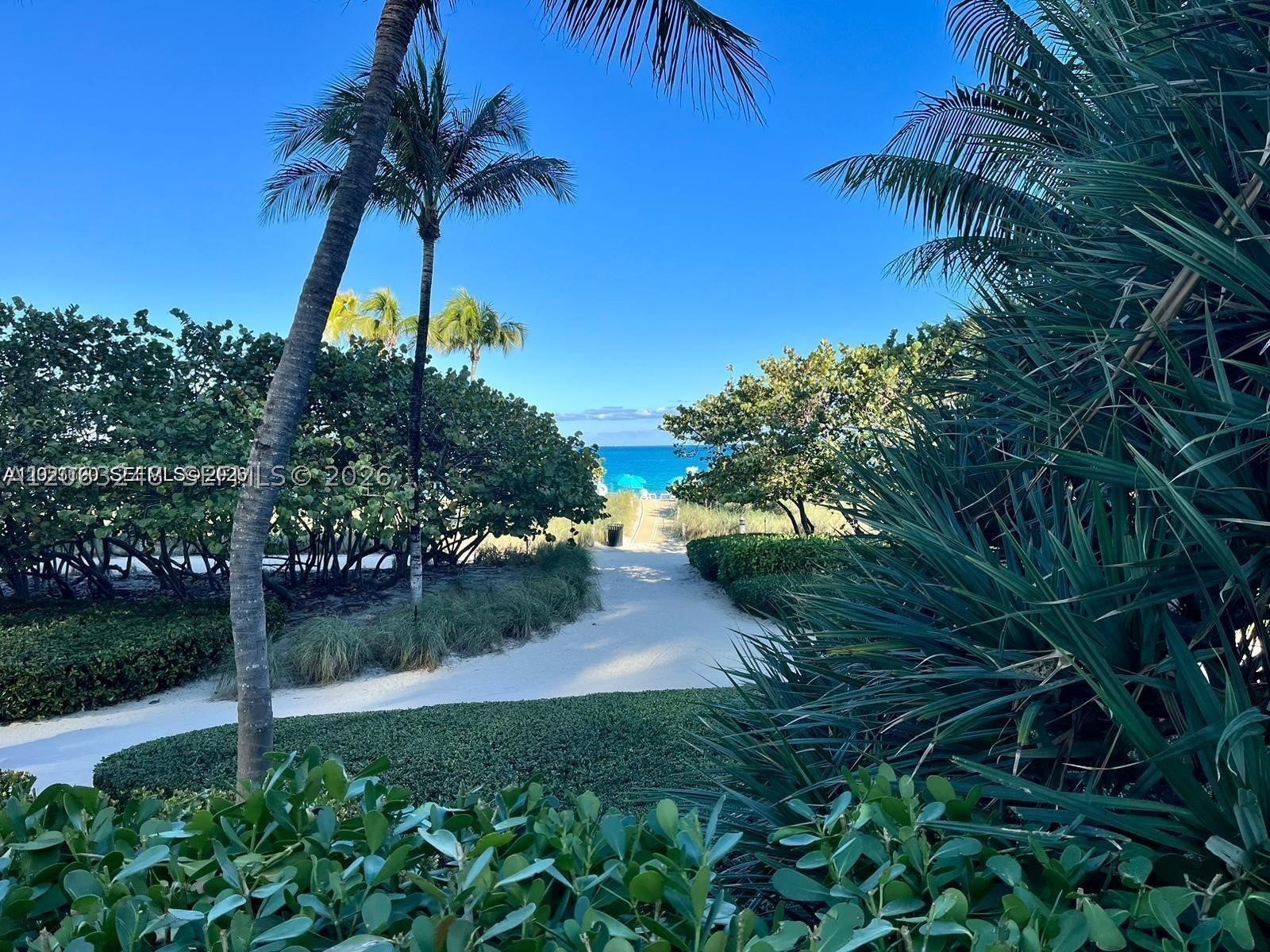 10185 Collins Ave 1215