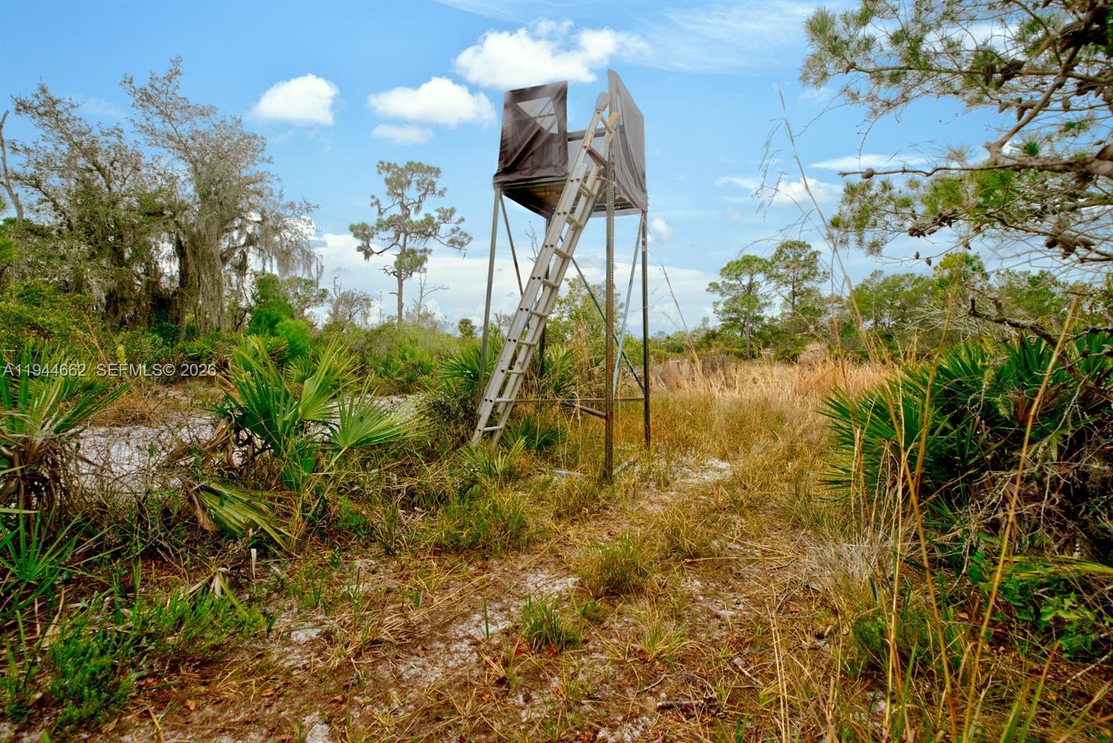 VENUS AREA - Residential