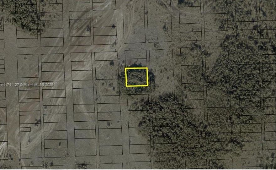 *** INVESTORS *** 
DON'T MISS THIS OPPORTUNITYT
 IT COULD BE WORTH TRIPLE IN A SHORT TIME.