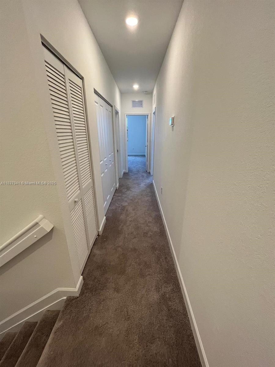 CORSICA SILVER PALM - Residential