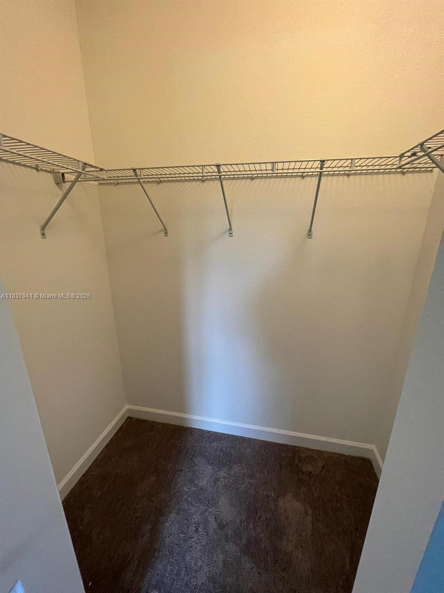 CORSICA SILVER PALM - Residential