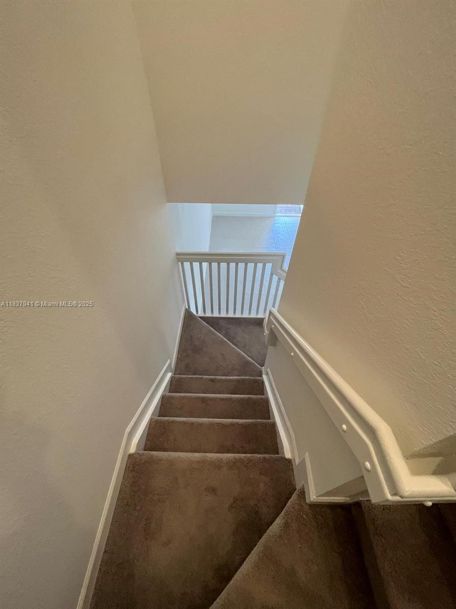 CORSICA SILVER PALM - Residential