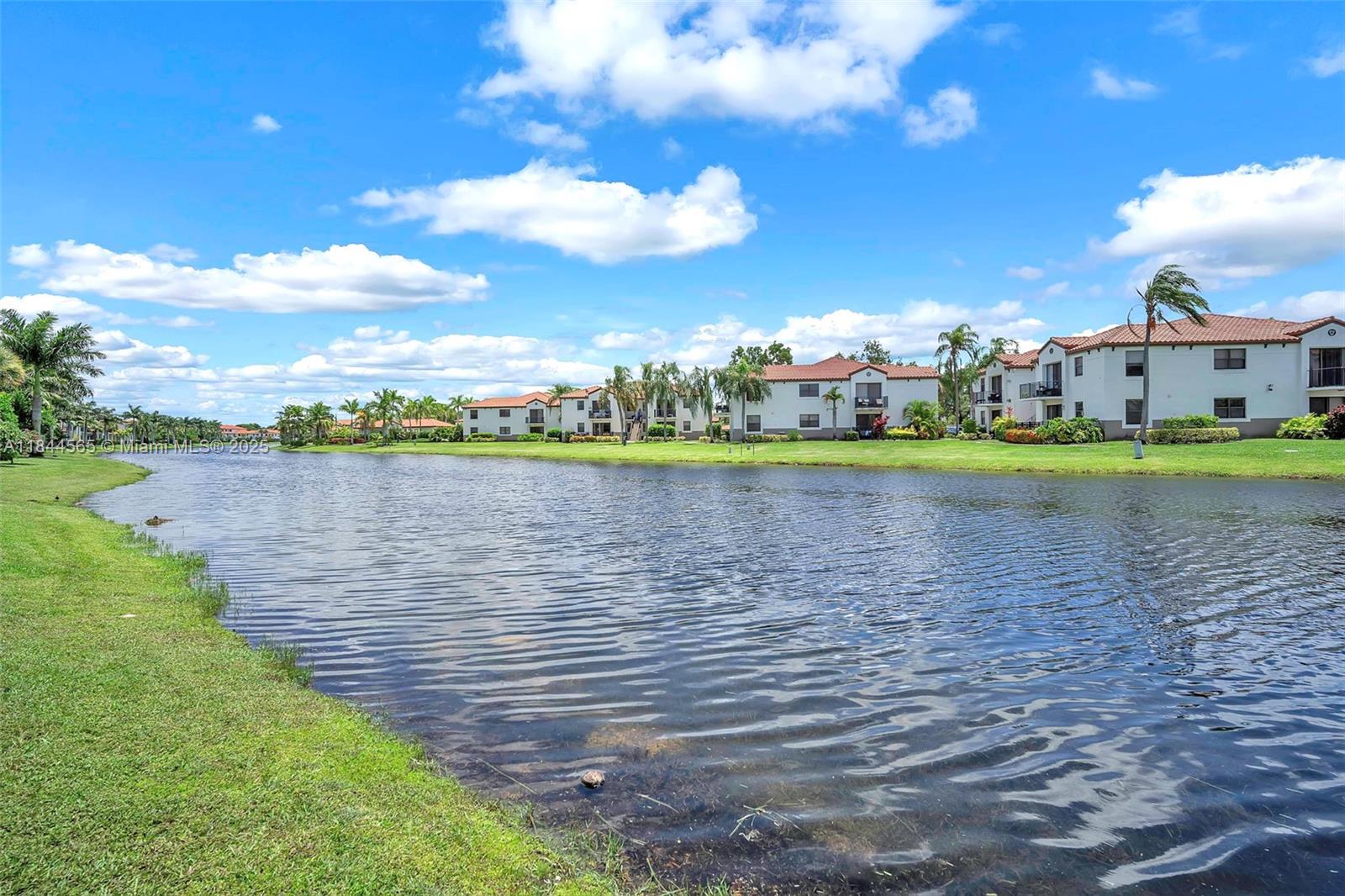 Raintree at Mayfair - Residential