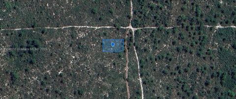 700 Watterson Lake Placid FL 33852